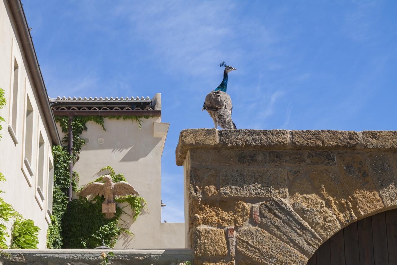Resort Fontes Episcopi Aragona Экстерьер фото